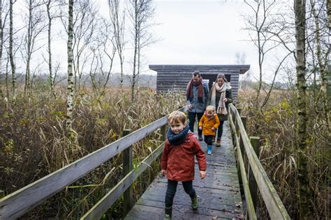 De Trek van de Tsonga: Een Migratiegedreven Reis naar Nieuwe Grond en de Ontstaan van een Nieuwe Identiteit